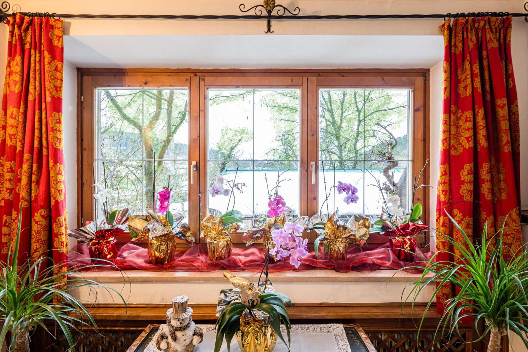 Pension Rainhof Kitzbühel Extérieur photo